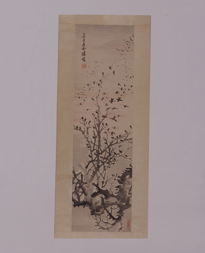 藏品