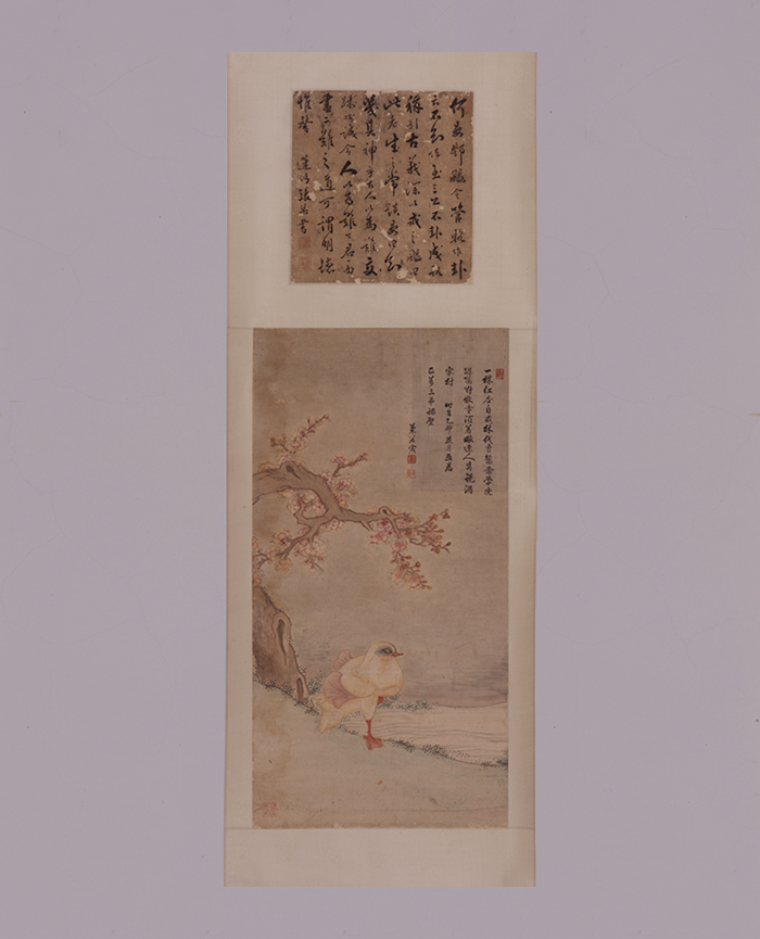 藏品