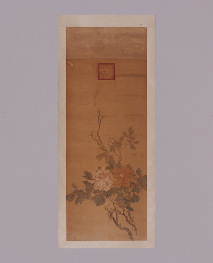 藏品