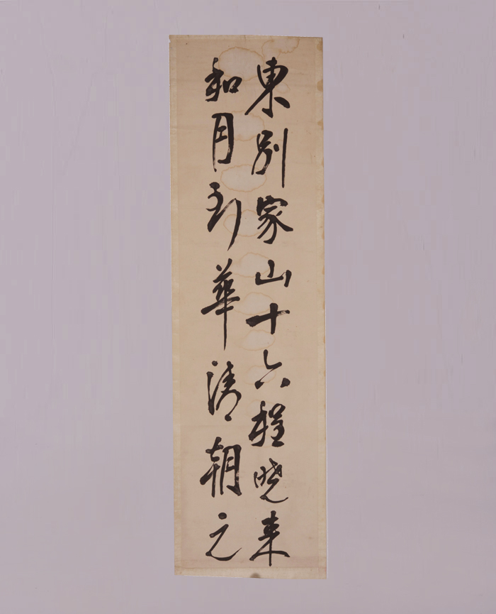 藏品