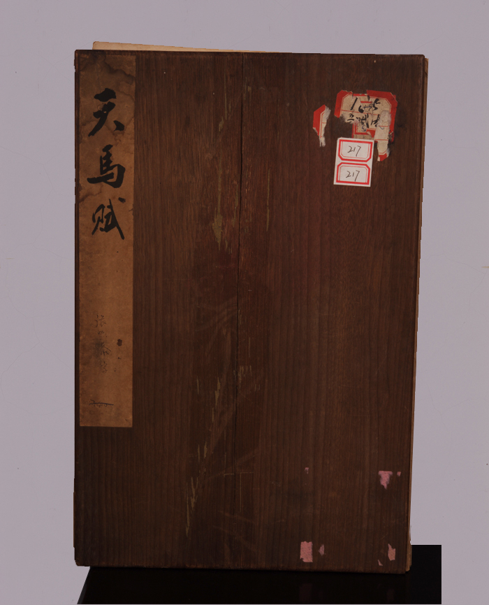 藏品