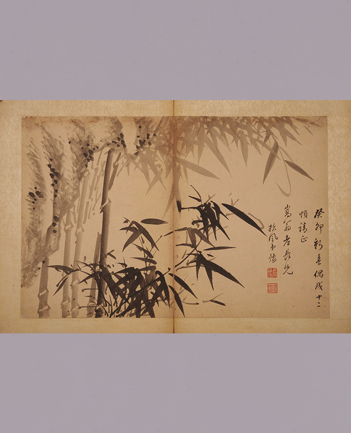 藏品