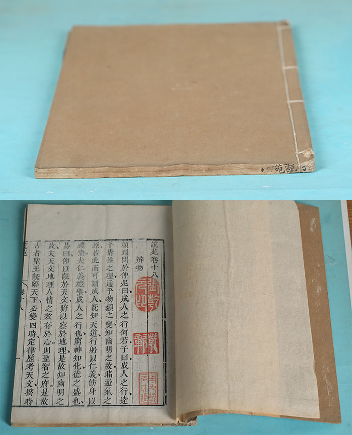 藏品