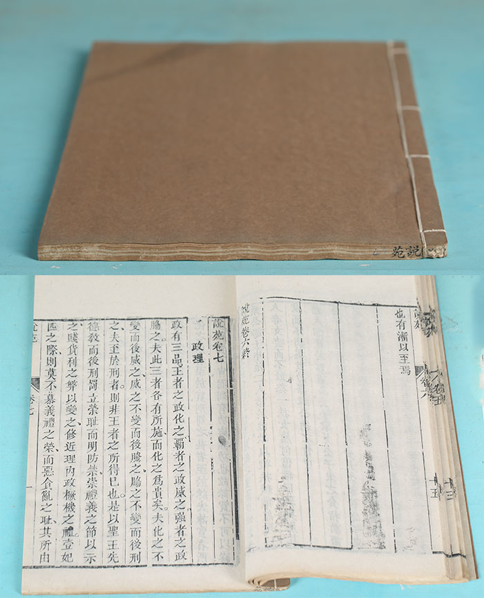 藏品