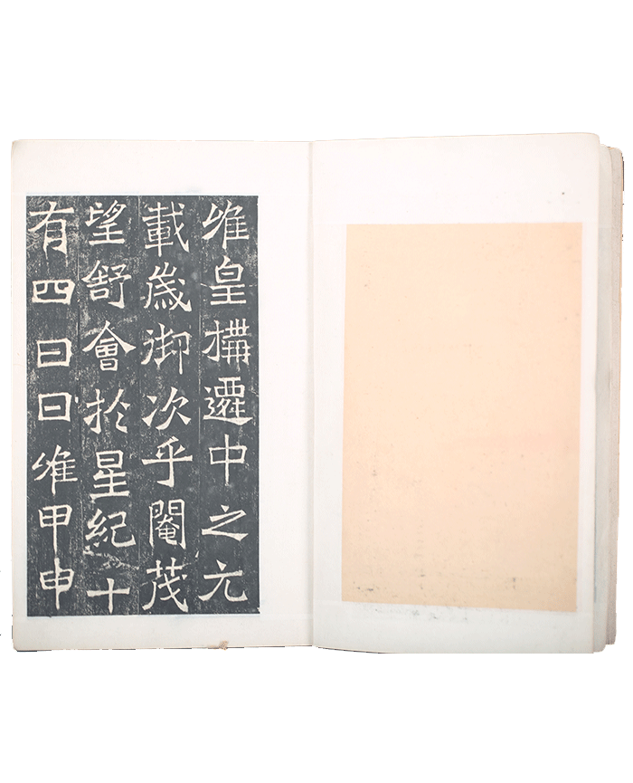 藏品