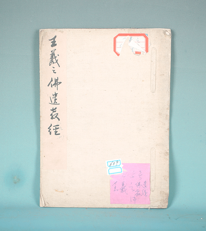 藏品