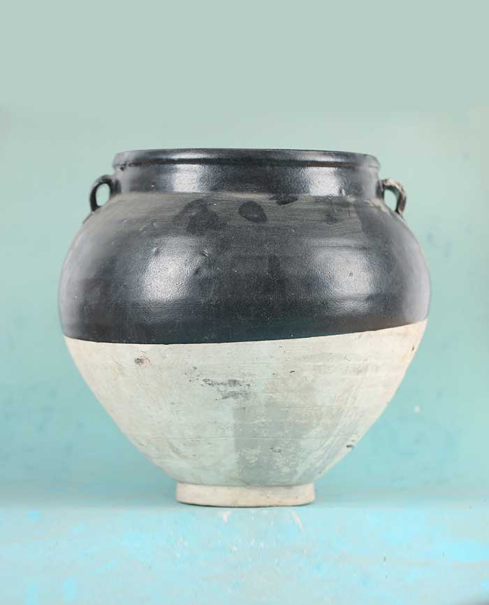 藏品