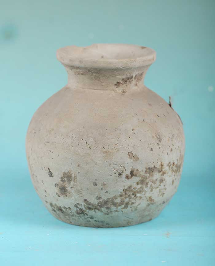 藏品