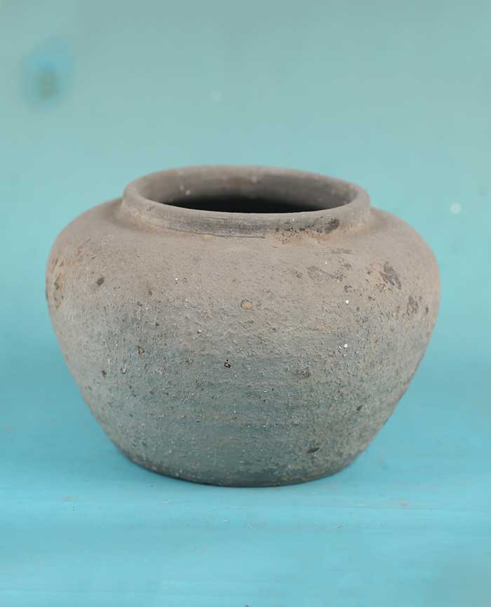 藏品