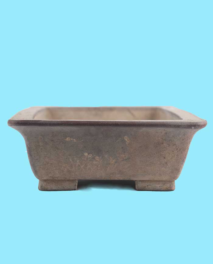 藏品