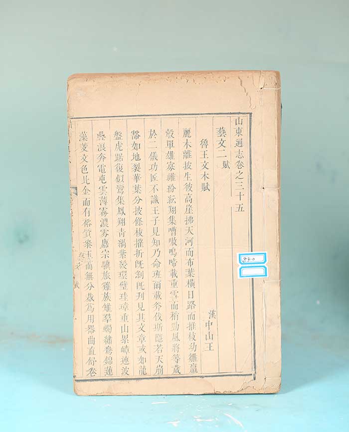 藏品