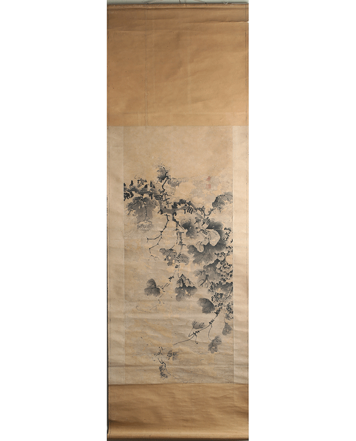 藏品