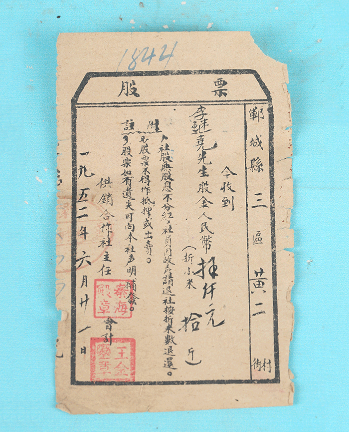 藏品